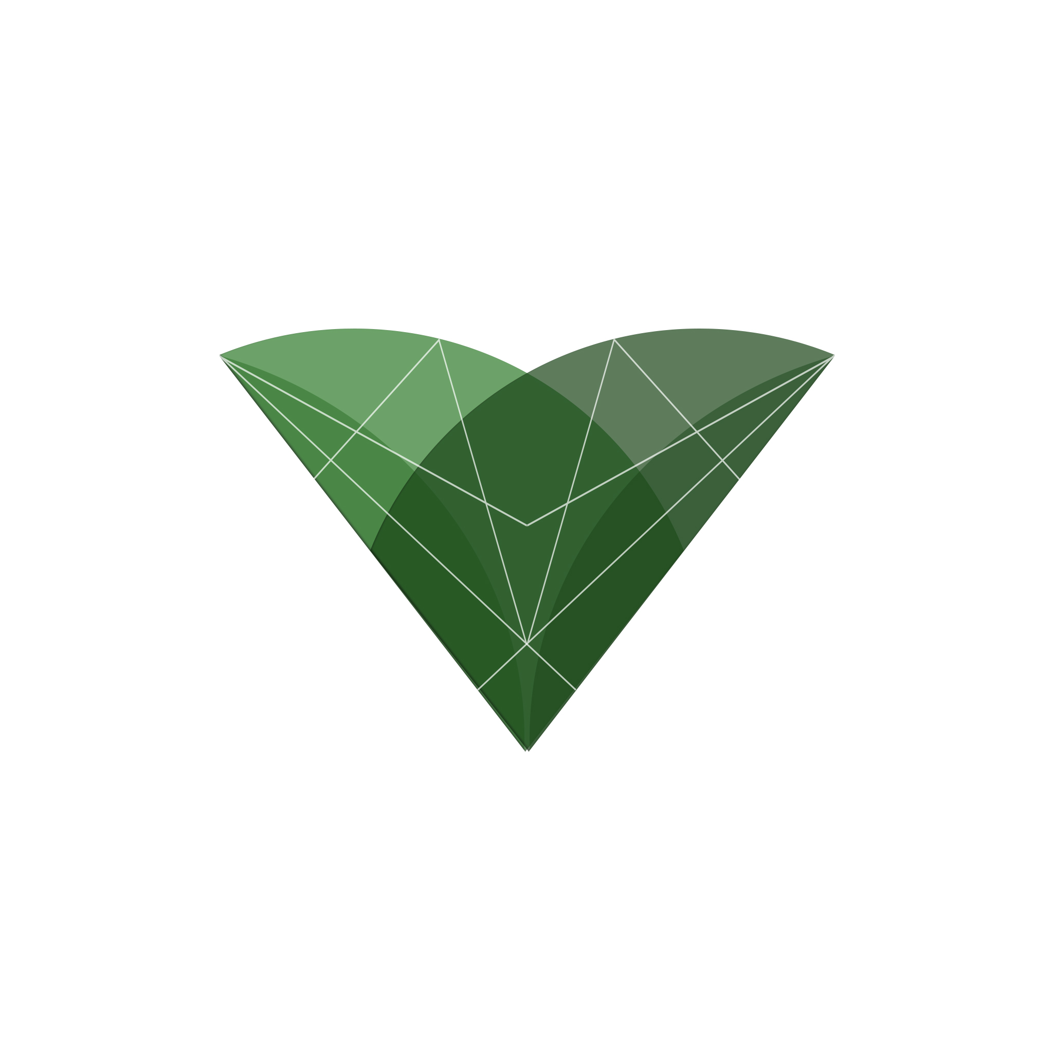 VaidyaHealth Logo